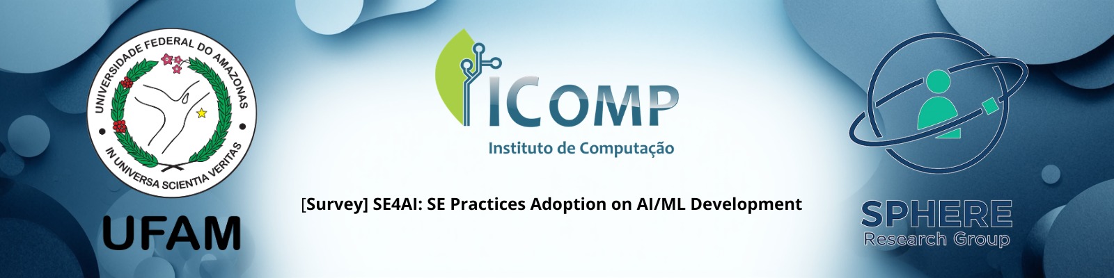 Survey header artwork